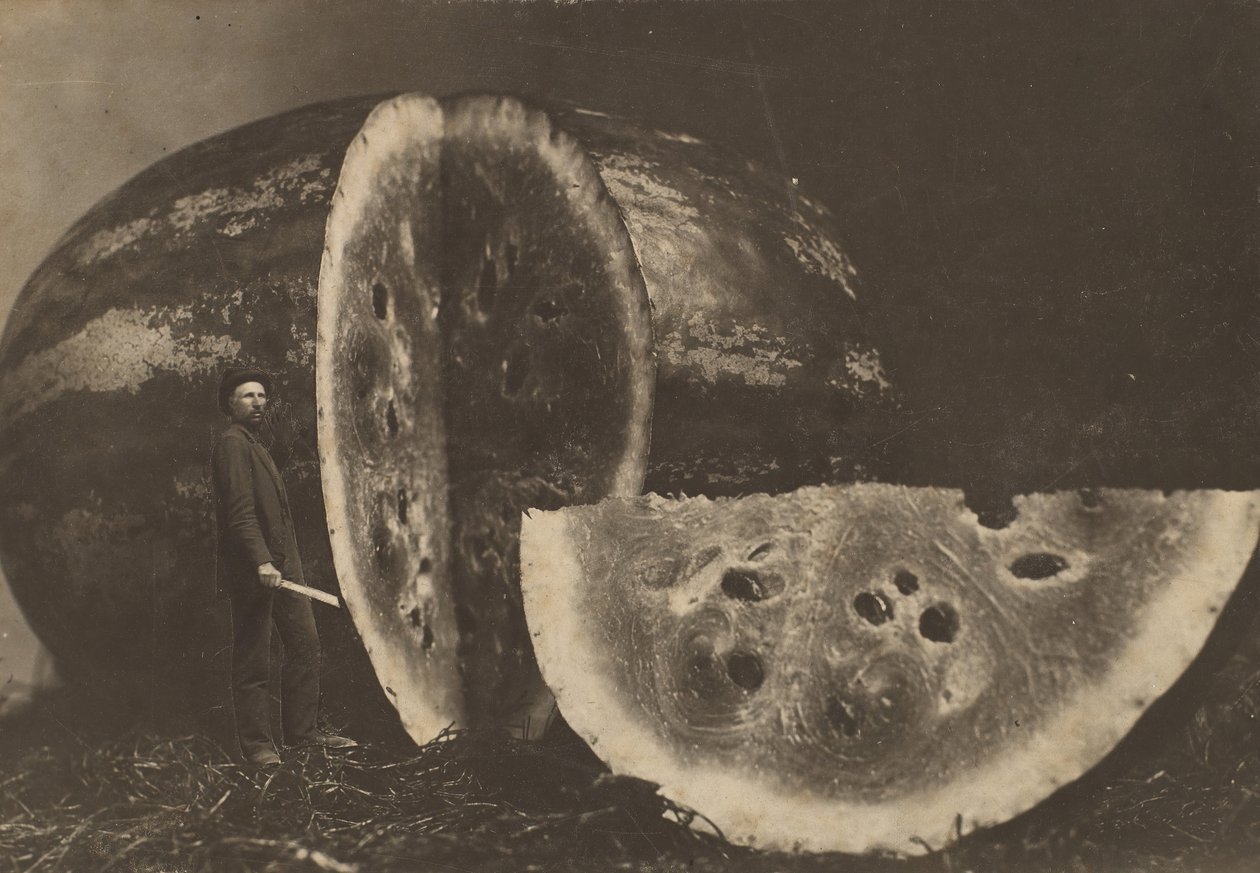 Mann som skjærer vannmelon, 1898-1903. av Johnson