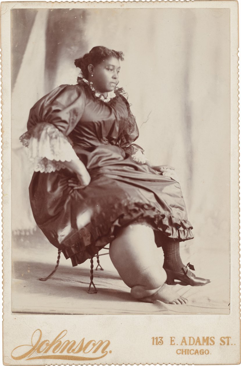Portrett av en kvinne, ca. 1890 (foto) av Johnson