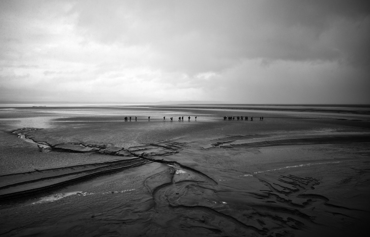  av Jon Nicholson