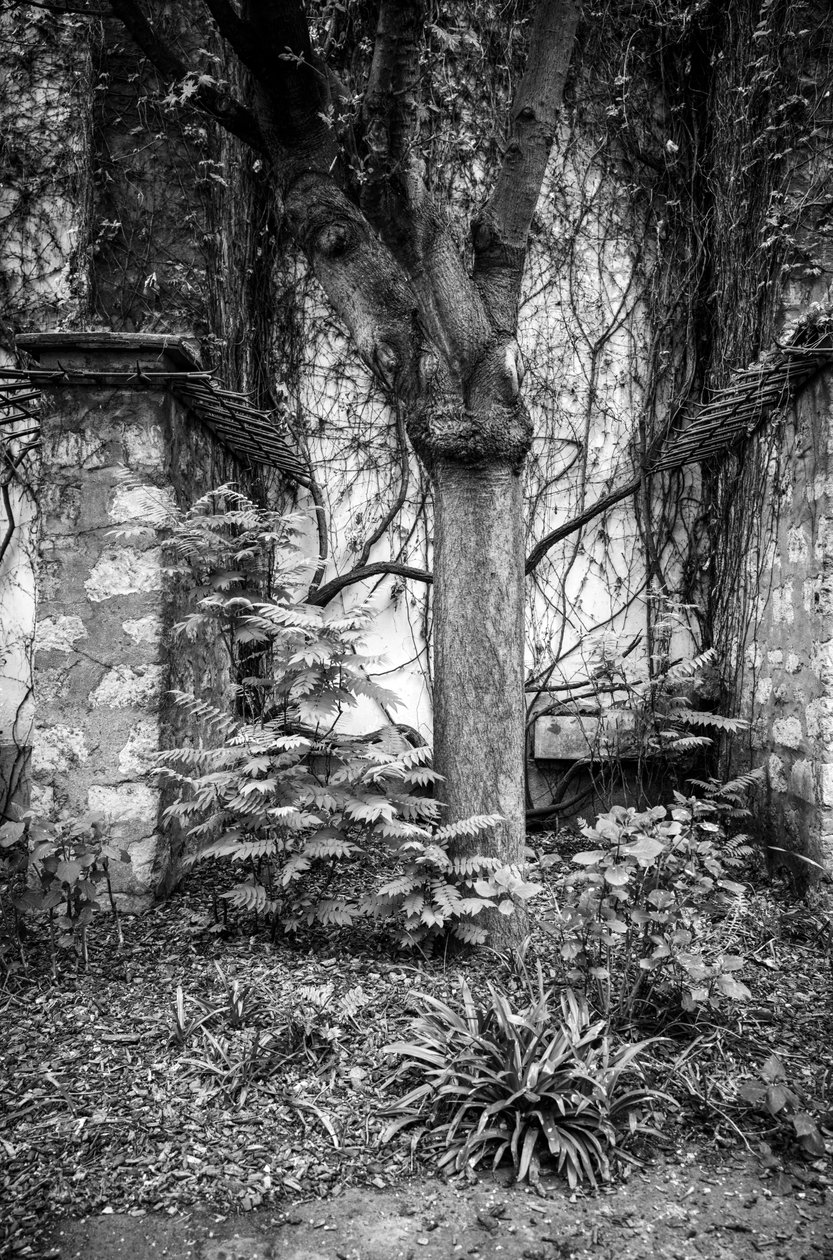  av Jon Nicholson