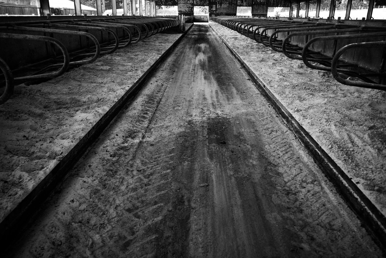 av Jon Nicholson