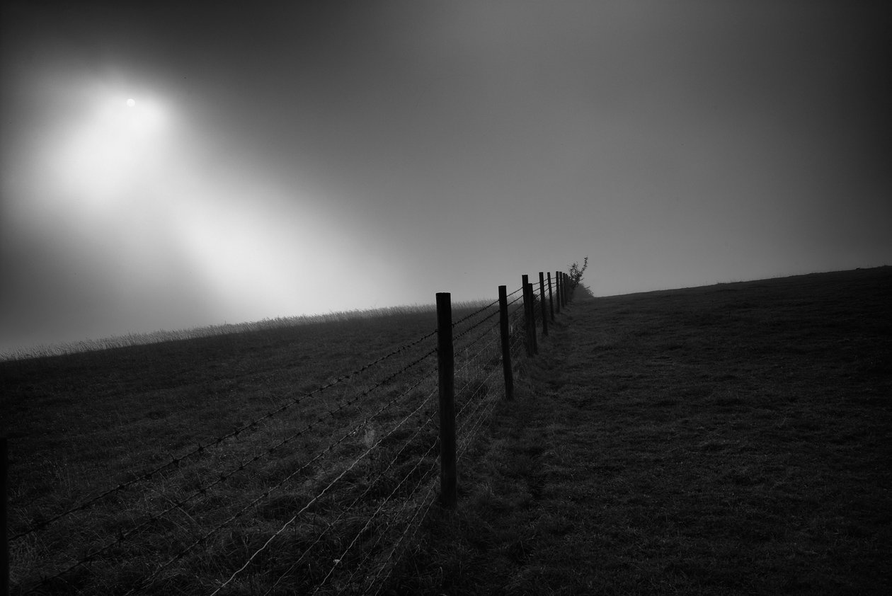  av Jon Nicholson