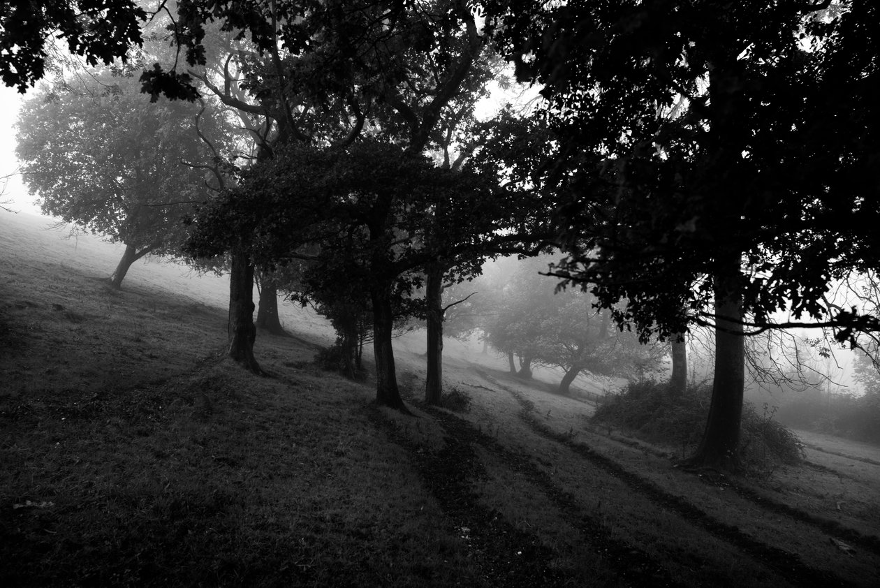  av Jon Nicholson