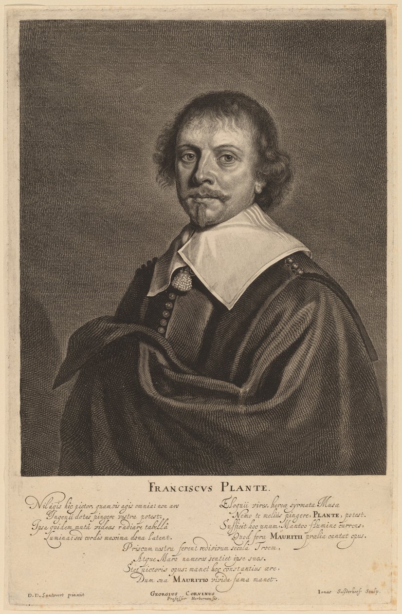 Francis Plante av Jonas Suyderhoff after Pieter Dircksz Santvoort