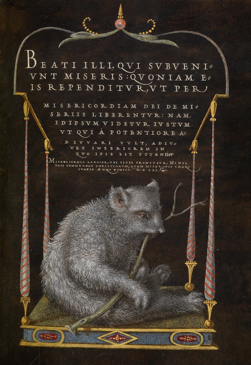 En dovendyr av Joris Hoefnagel