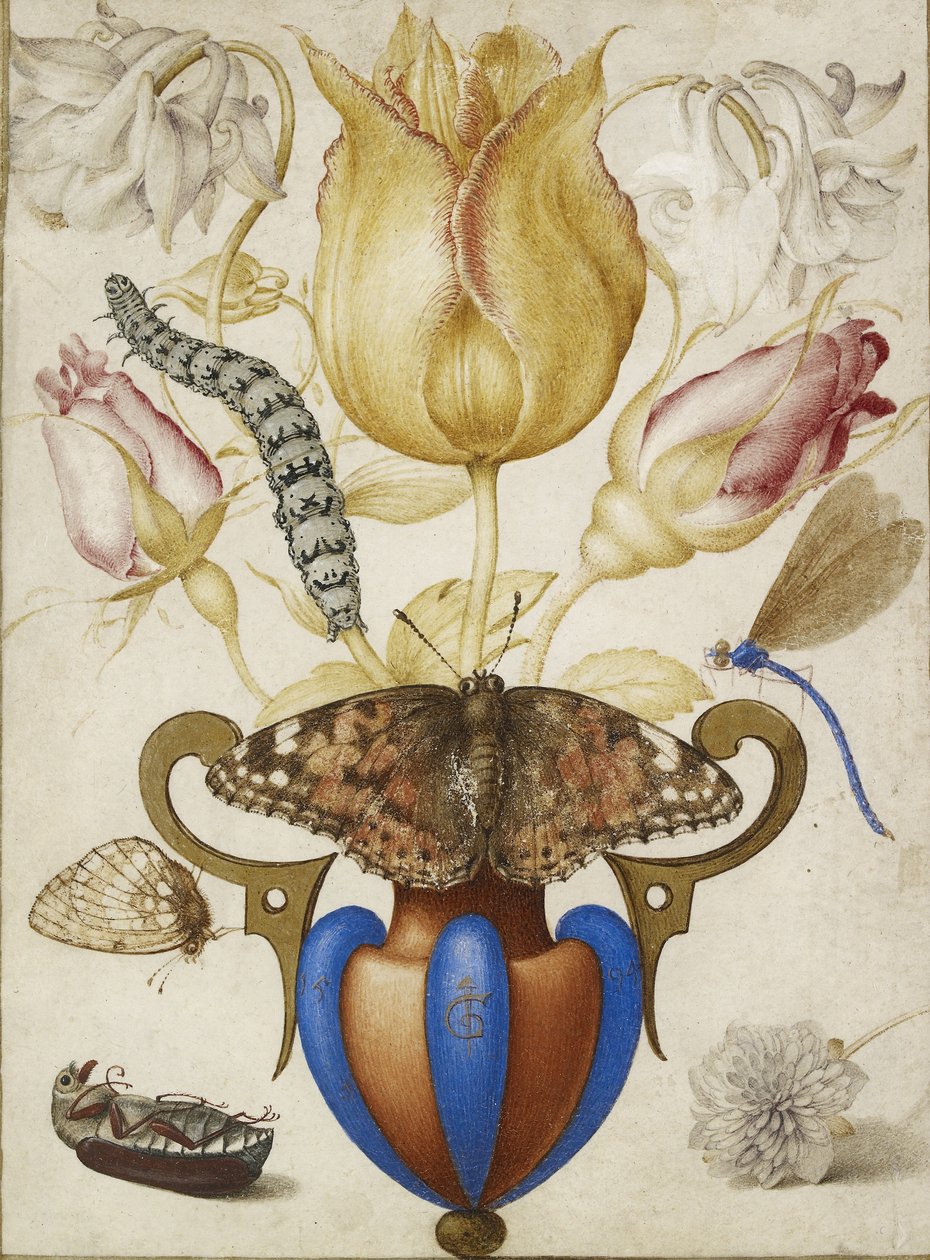Arrangement av blomster i en vase, med insekter, 1594 (Akvarell med gull på vellum) av Joris Hoefnagel