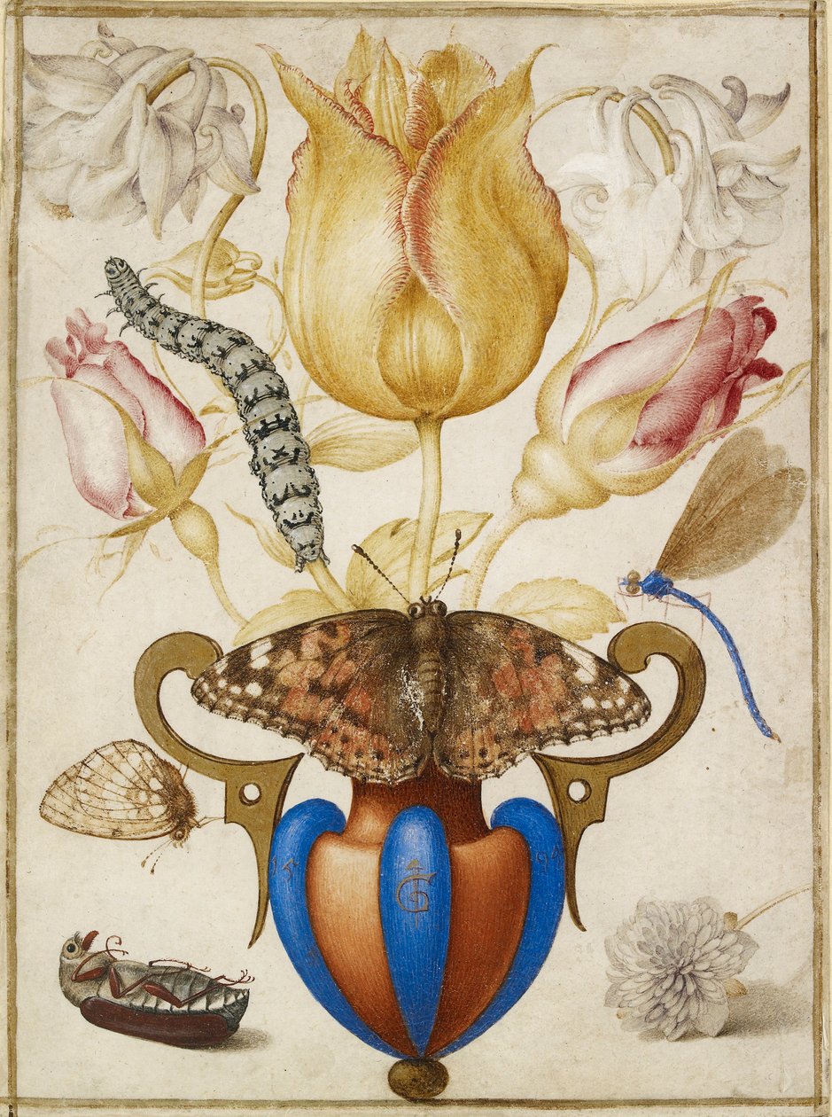 Arrangement av blomster i en vase, med insekter, 1594 av Joris Hoefnagel