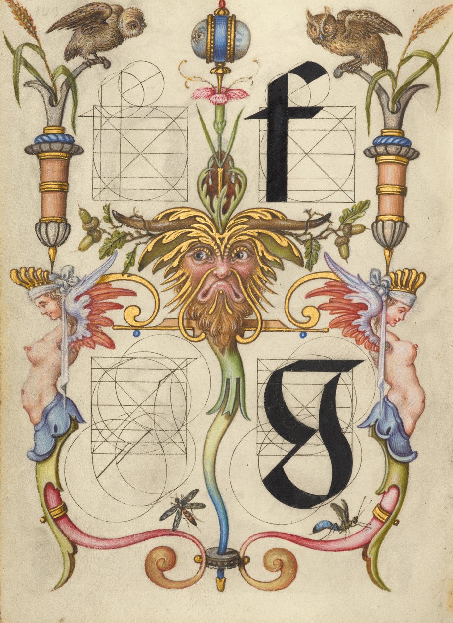  av Joris Hoefnagel