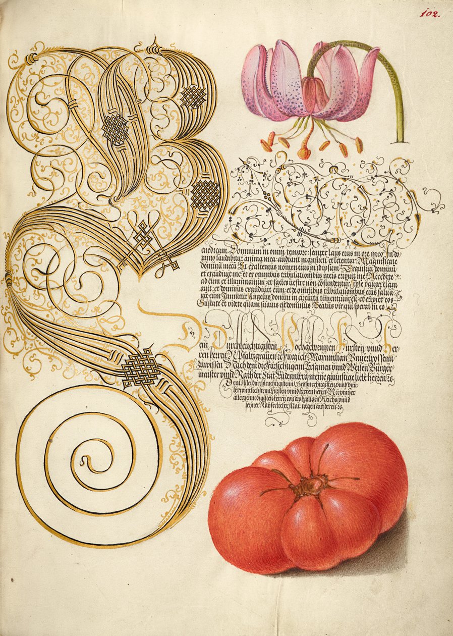  av Joris Hoefnagel