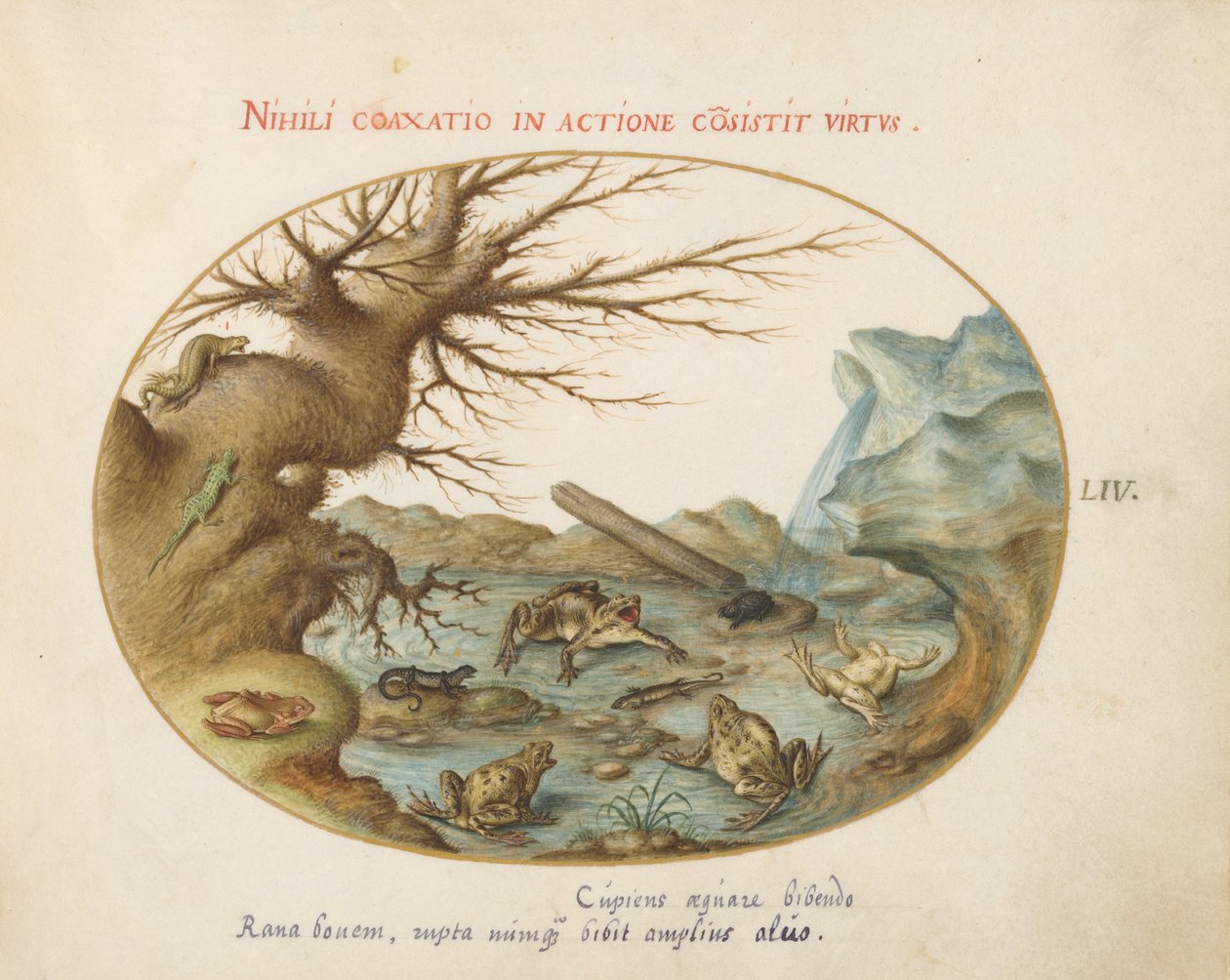Plate 54: Frosker i et landskap av Joris Hoefnagel
