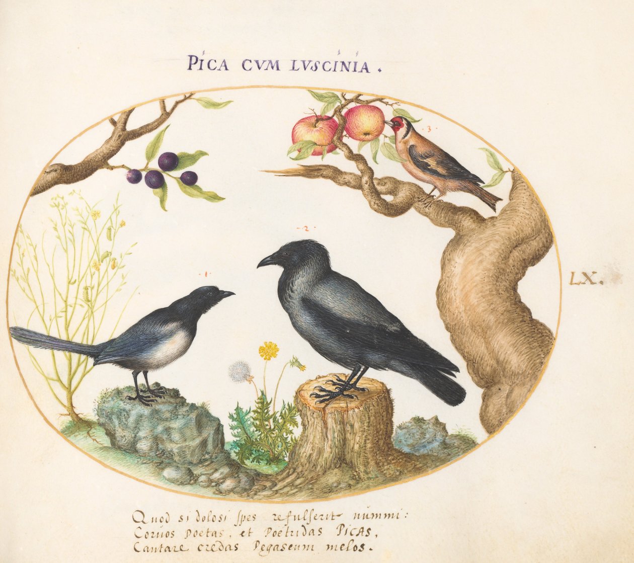 Tallerken 60: Magpie, Crow og Goldfinch av Joris Hoefnagel