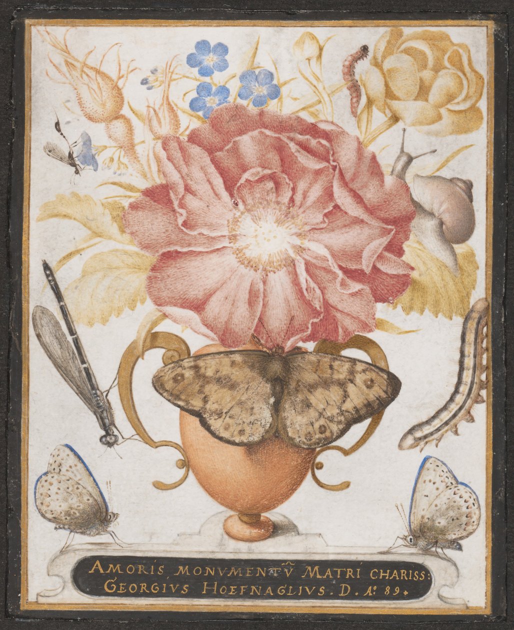 Stilleben med blomster, en snegl og insekter, 1589. av Joris Hoefnagel