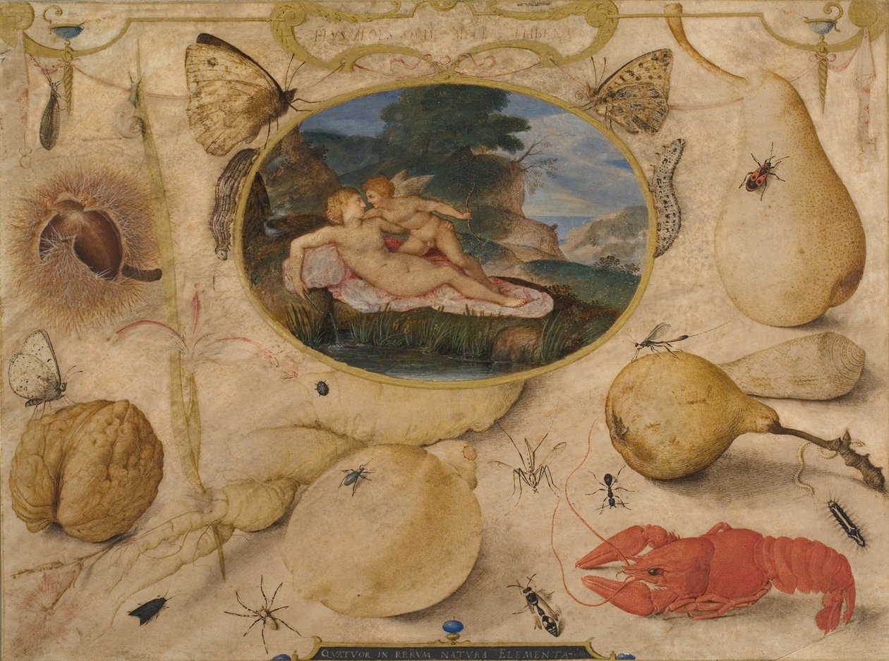 "Venus disarming Amor" i en medaljong omgitt av planter, frukt, insekter og skalldyr av Joris Hoefnagel
