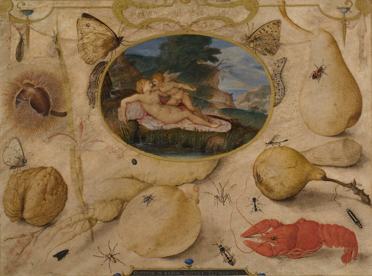 Venus avvæpner Amor i en medaljong omgitt av planter, frukt, insekter og skalldyr, ca. 1595 (wc og kroppsfarge) av Joris Hoefnagel