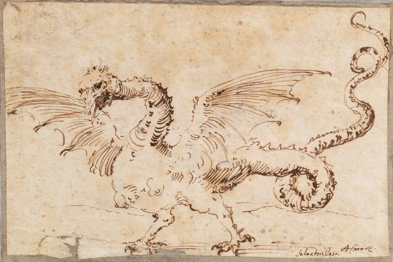 Studie av en drage, 1620-tallet. av José Ribera de