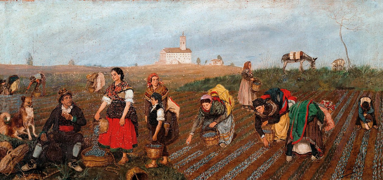 “" The Saffron Collect "” Detail. Painting by Jose Albinana Bru (19th century). 1877. Valencia. Museum of Fine Arts San Pio V.   1403850   no       norwegian Successfully Translated  Original: Royal MS 20 CVII f.41v, Looting of a house (vellum) Translat: R av Jose Bru Albinana