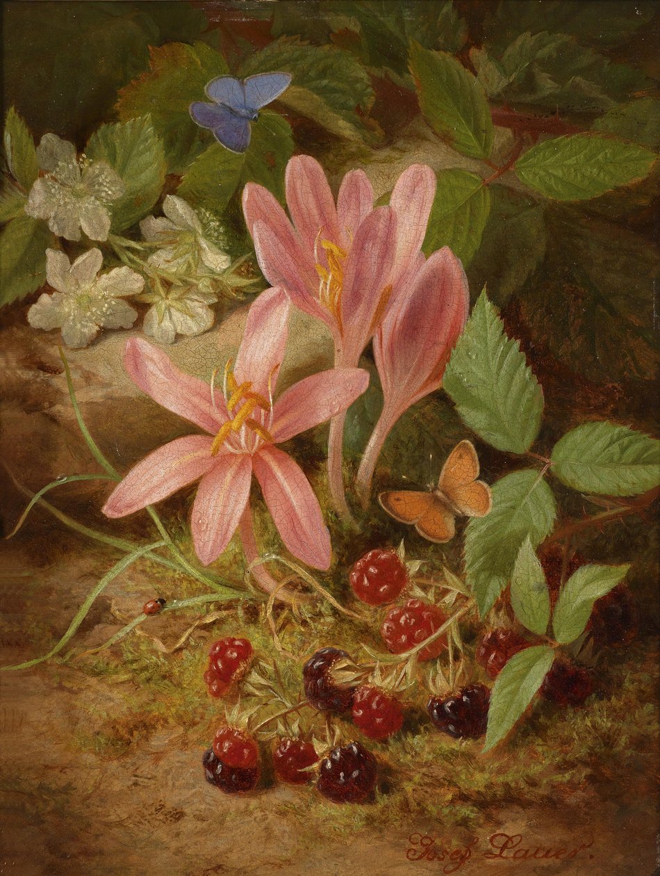 Høstblomst med bjørnebær av Josef Lauer
