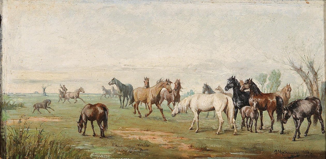 Flokk av hester med gjeter av Josef Mathauser