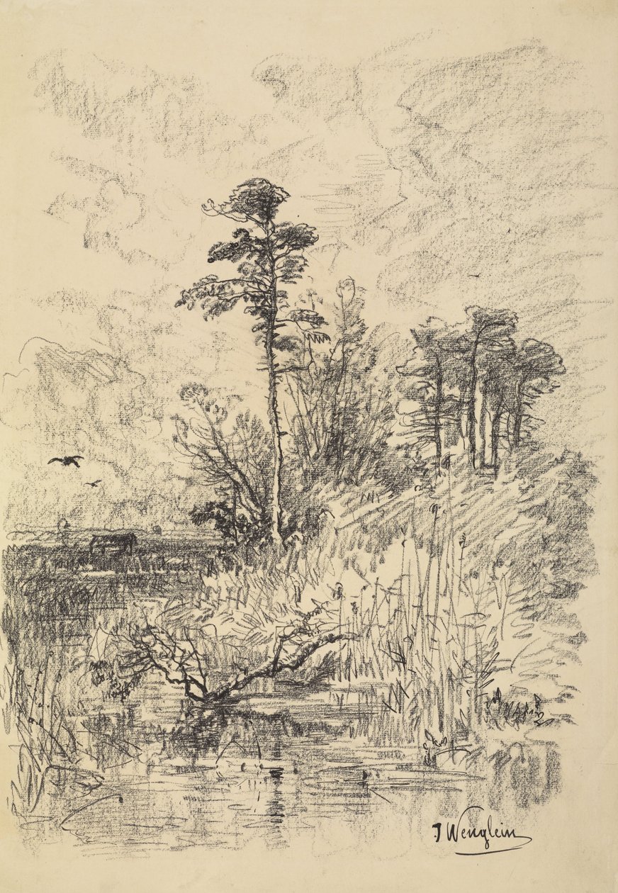 Elvelandskap av Josef Wenglein