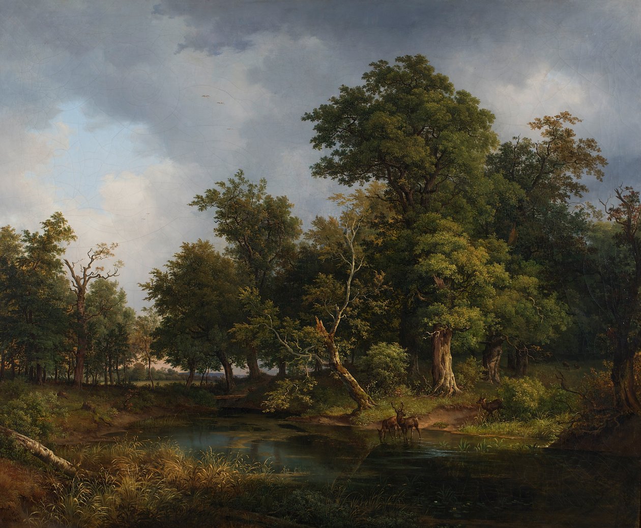 skoglandskap av Josef Feid