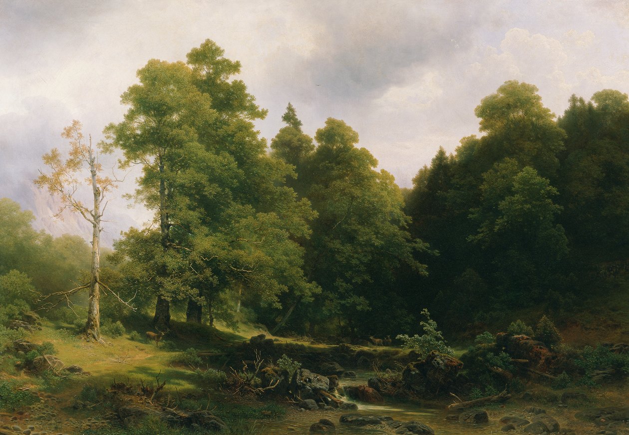 Det stille hjørnet av skogen av Josef Holzer