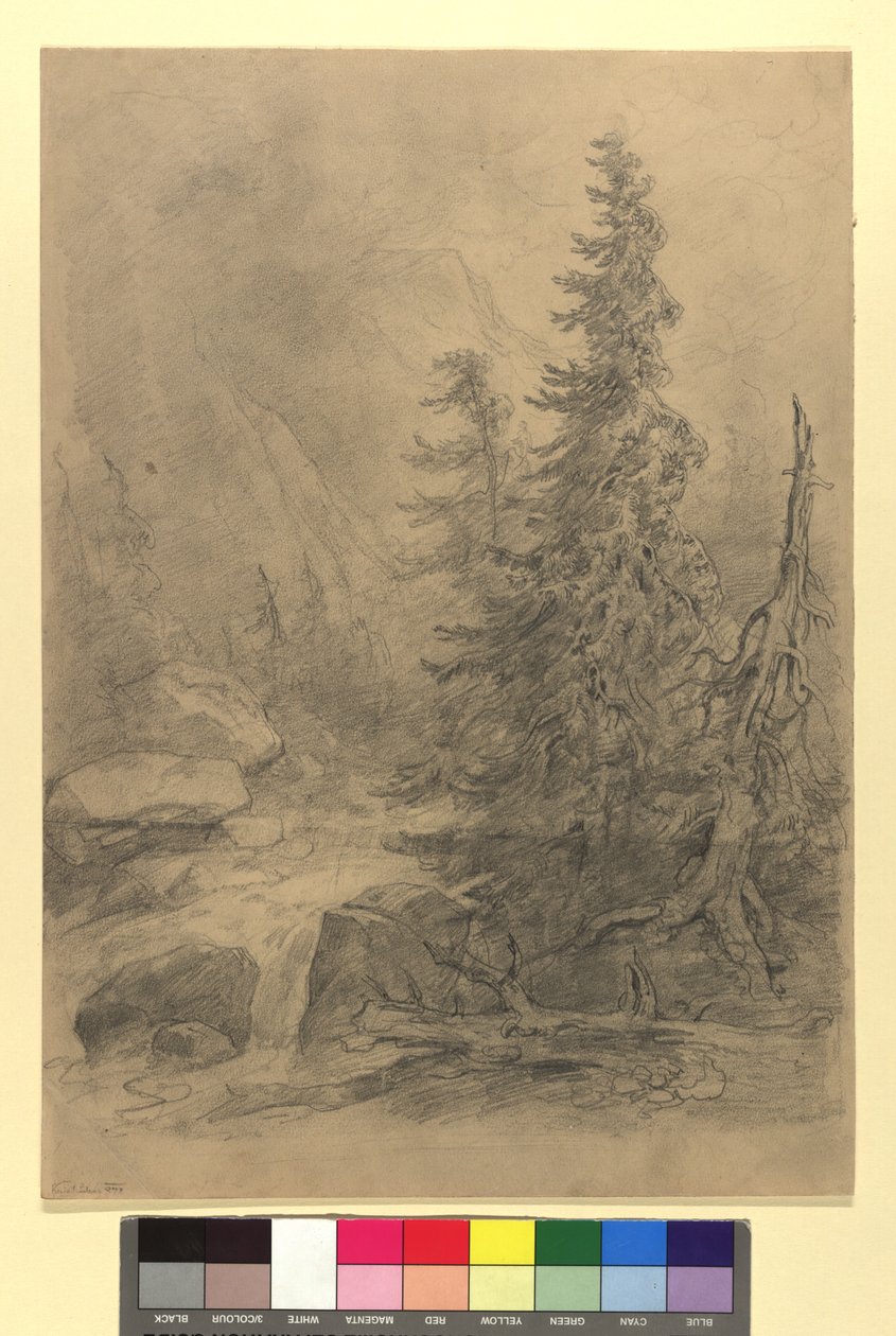 Fjellbekk med bartrær av Josef Kriehuber