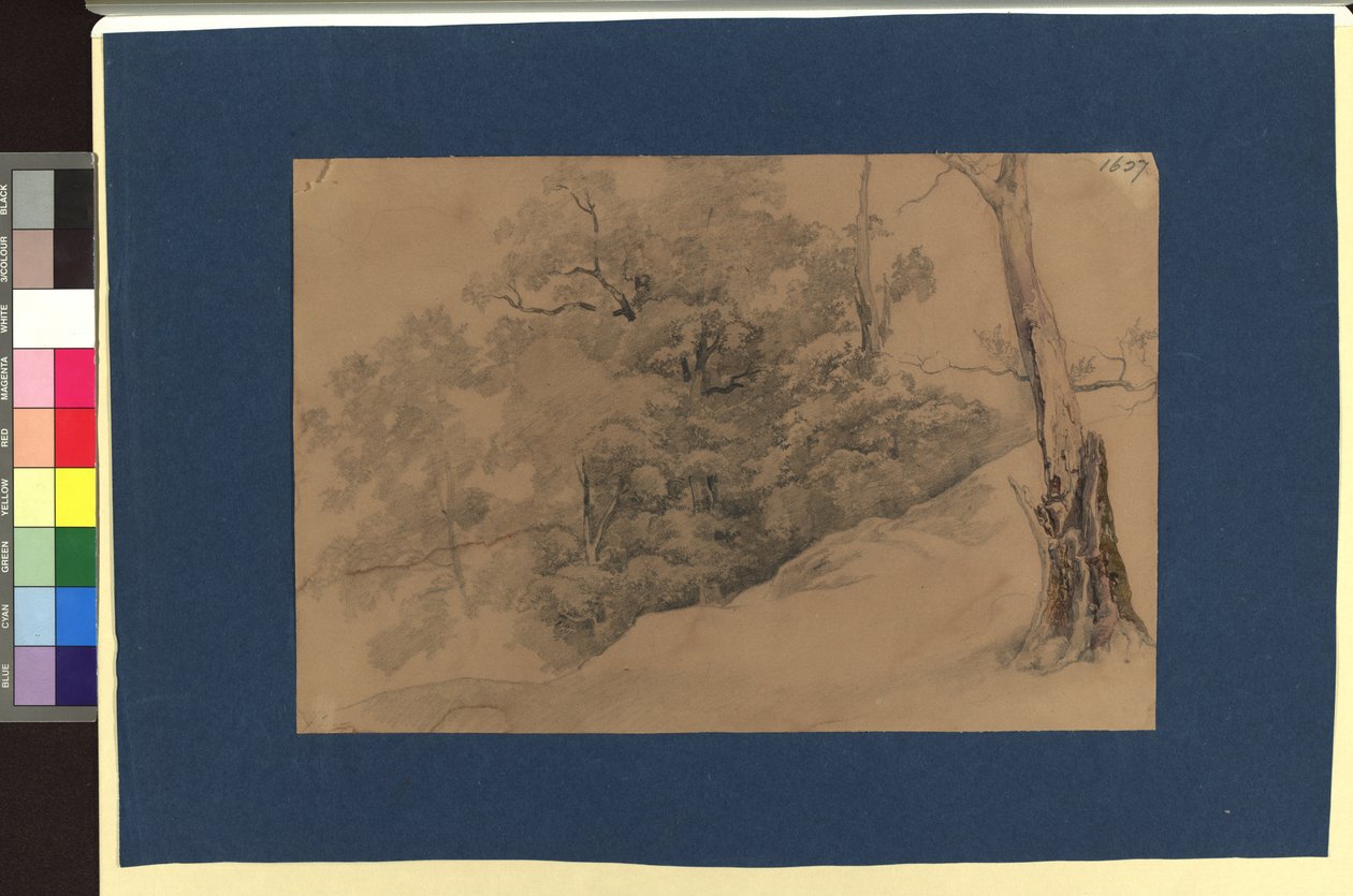 Landschaftsstudie av Josef Kriehuber