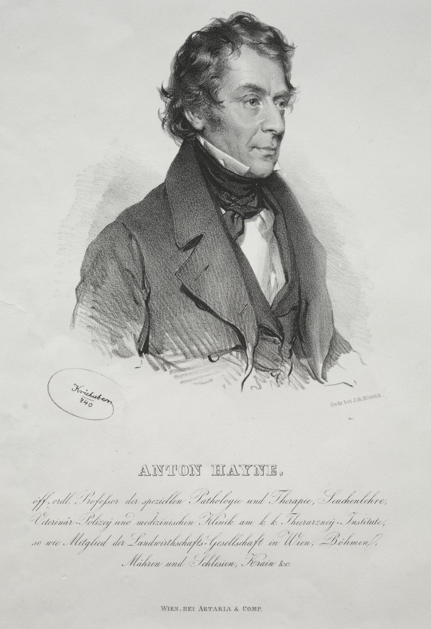 Portrett av Dr. Anton Hayne av Josef Kriehuber