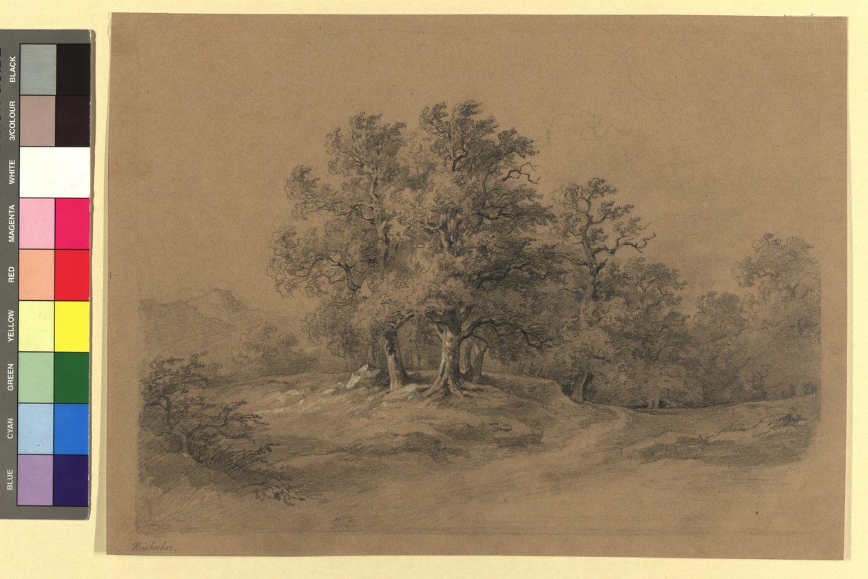 Skoglandskap av Josef Kriehuber