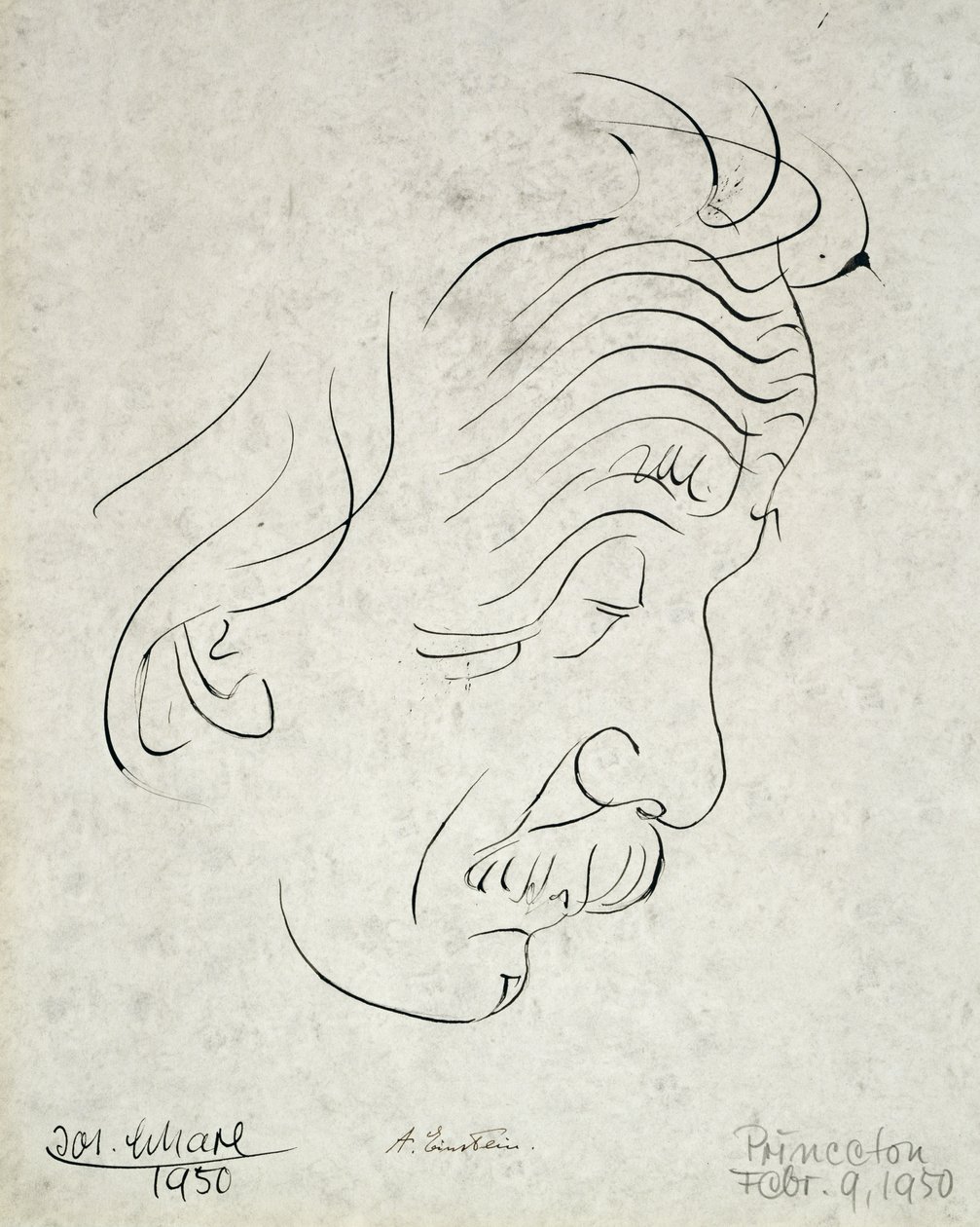  av Josef Scharl