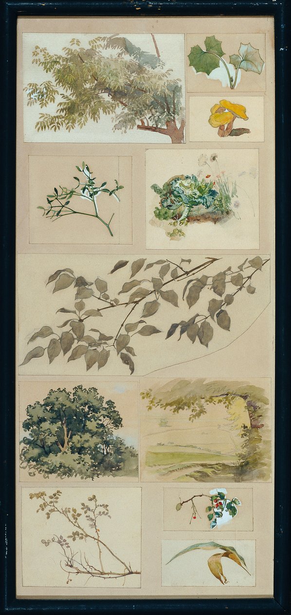 studier fra naturen av Josef Wawra