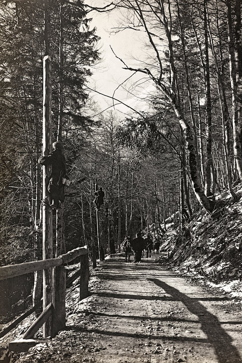 Album "Min verdenskrig - minner fra den sørvestlige fronten i Kärnten, Italia, Trentino-Alto Adige) 31/03/1915-12/11/ 1918 - Josef Zohles Vienna ": soldater på jobb (s/hv-foto av Josef Zohles