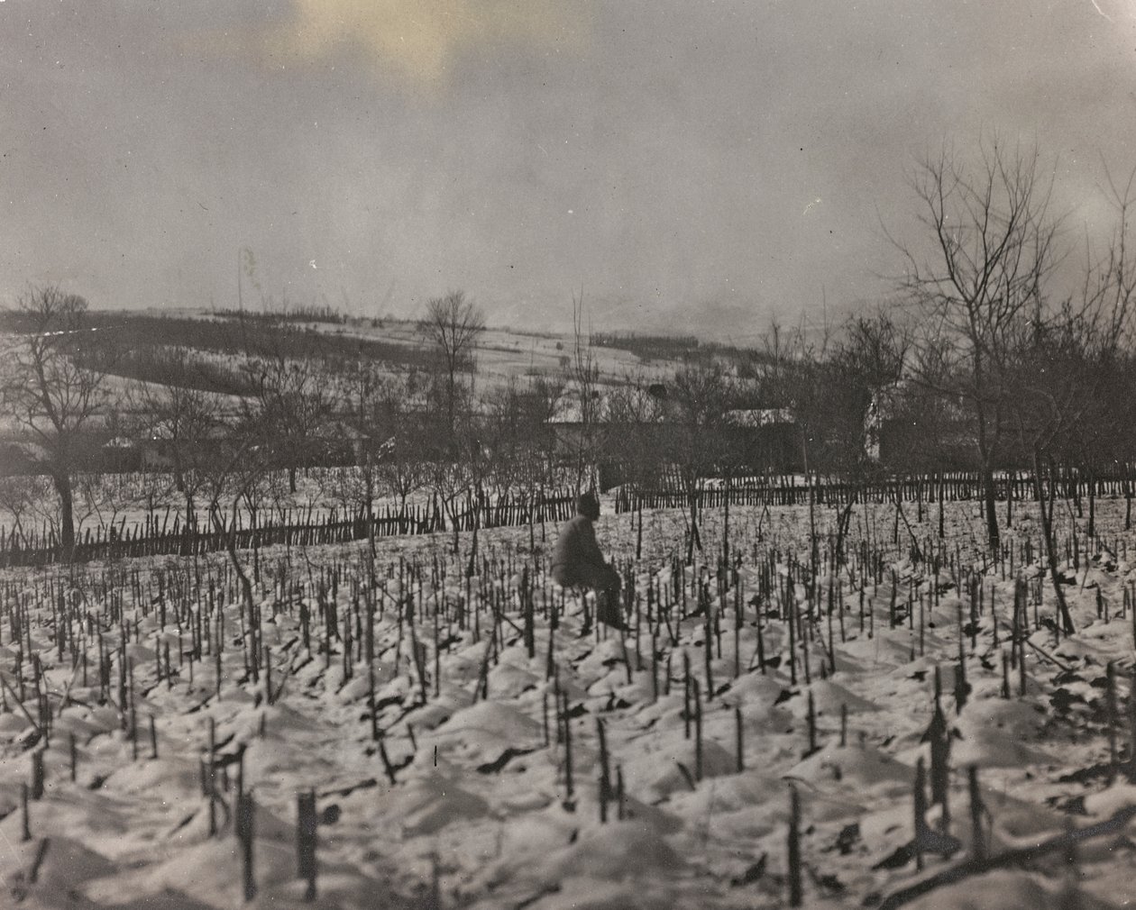 Album "Min verdenskrig - minner fra den sørvestlige fronten i Kärnten, Italia, Trentino-Alto Adige) 31/03/1915-12/11/ 1918 - Josef Zohles Wien ": militærkirkegård (s/hv-bilde) av Josef Zohles