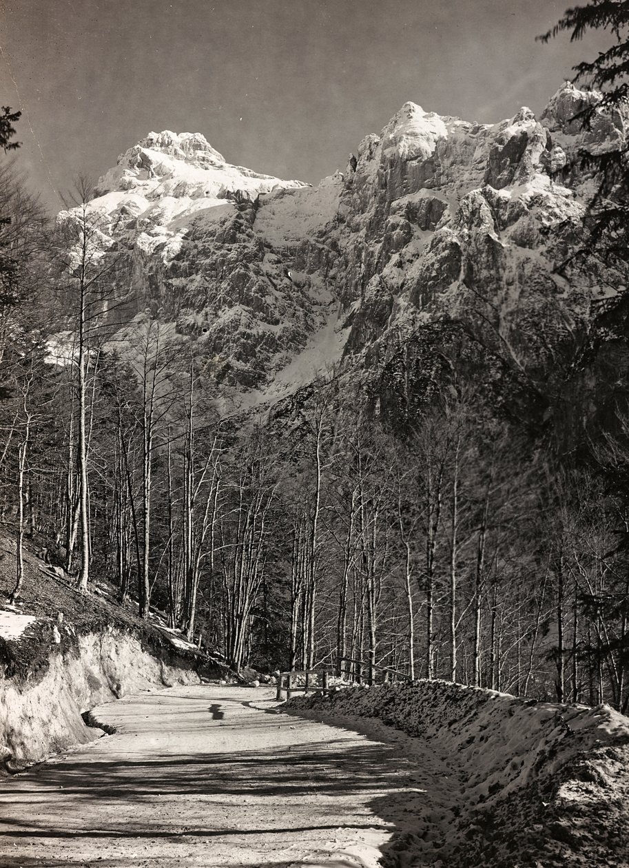 Album "Min verdenskrig - minner fra den sørvestlige fronten i Kärnten, Italia, Trentino-Alto Adige) 31/03/1915-12/11/ 1918 - Josef Zohle