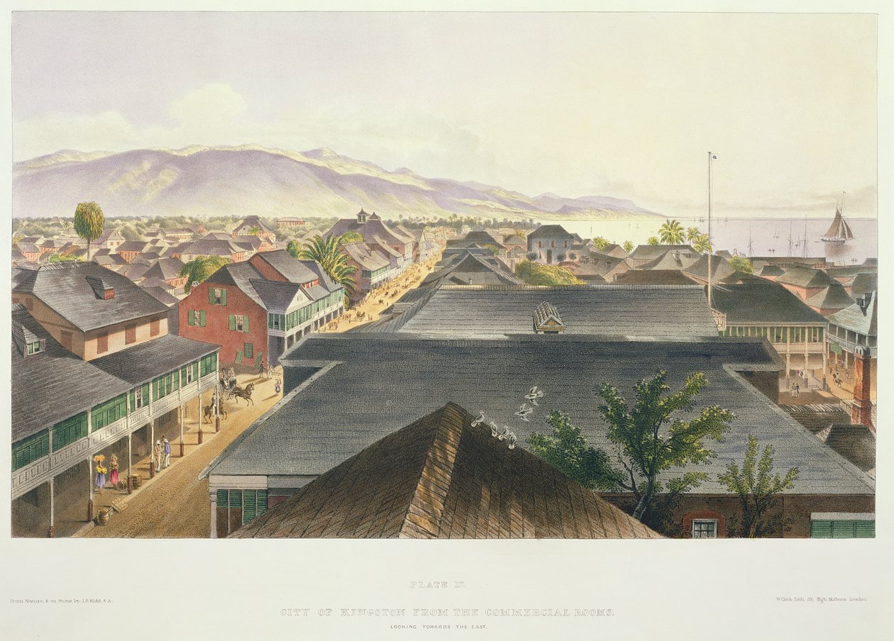 City of Kingston fra Commercial Rooms, Looking Towards the East, plate 17 fra 