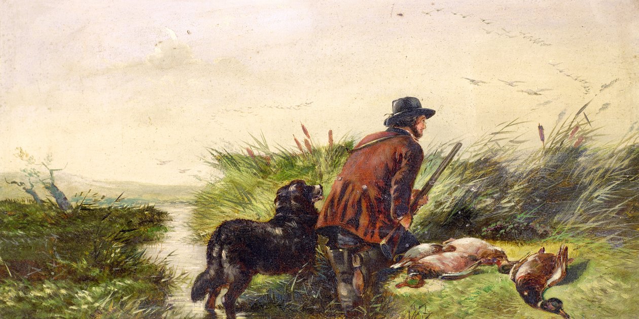 Ducks Flighting etter et maleri av Richard Ansdell (1815-85) av Joseph Bensted