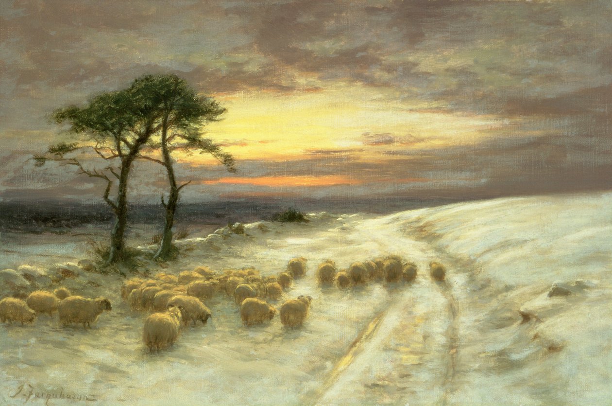 Sauer i snøen av Joseph Farquharson