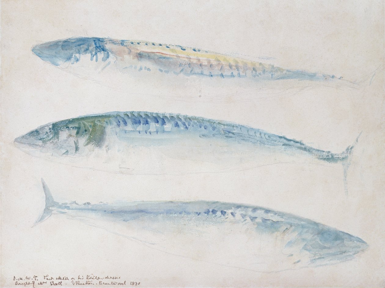 En skisse av tre makreller (wc og blyant på papir) av Joseph Mallord William Turner