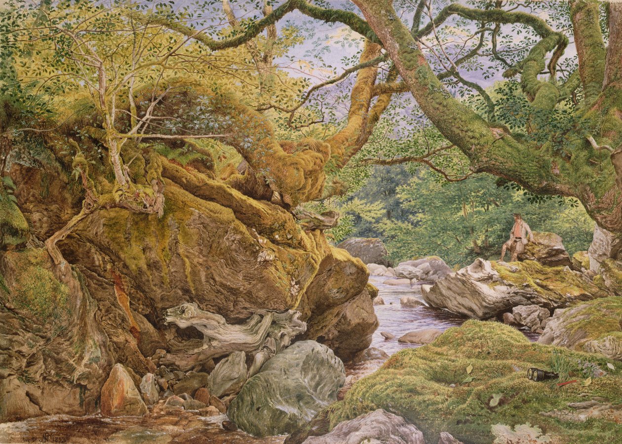Studie fra naturen: Inveruglas, 1857 av Joseph Noel Paton