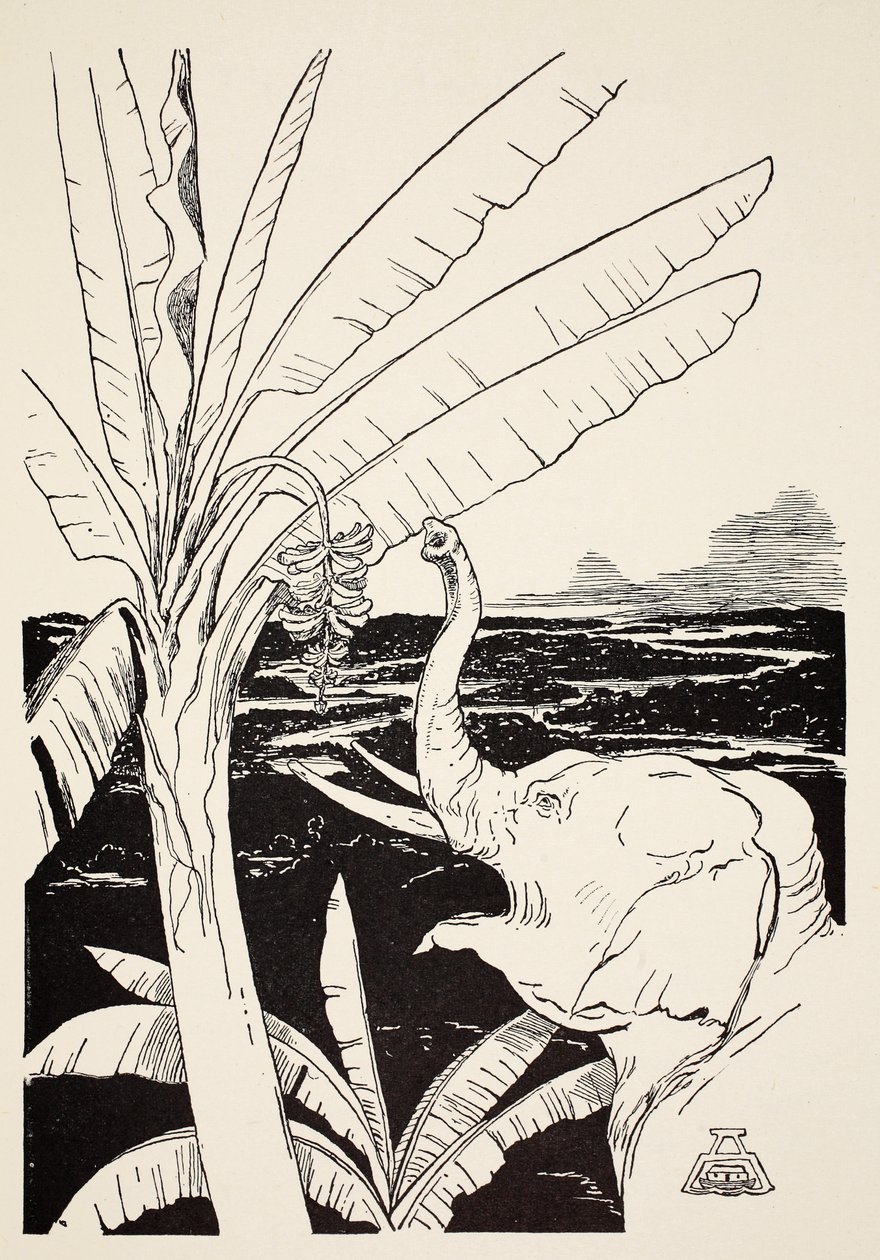 Elefantens barn skal trekke bananer av et banantre etter at han hadde fått den fine nye snabelen sin, illustrasjon fra "Just So Stories for Little Children" av Rudyard Kipling, pub. London, 1951 av Joseph Rudyard Kipling