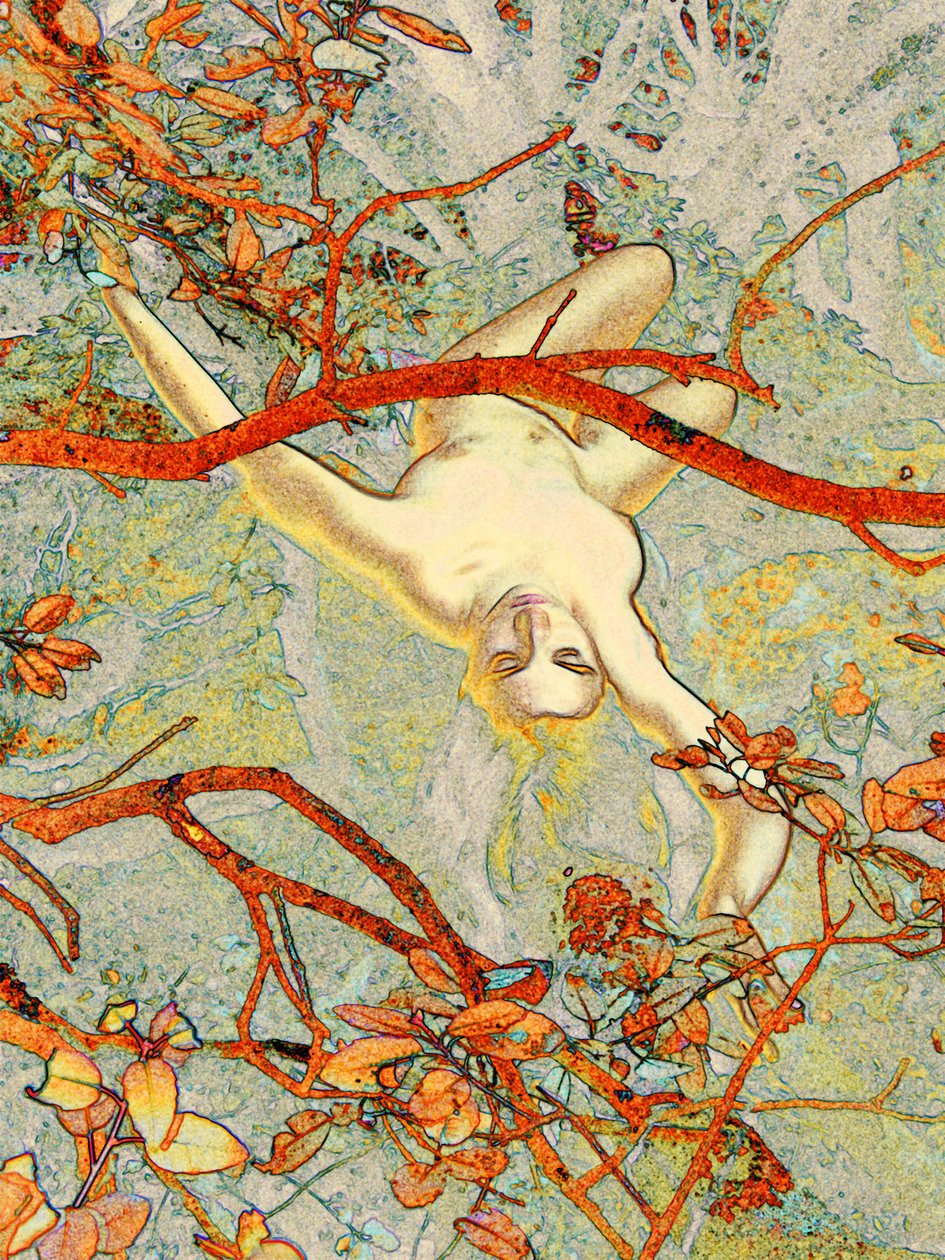 Alice i Cevennes 2 av Joseph Angilella Auquier