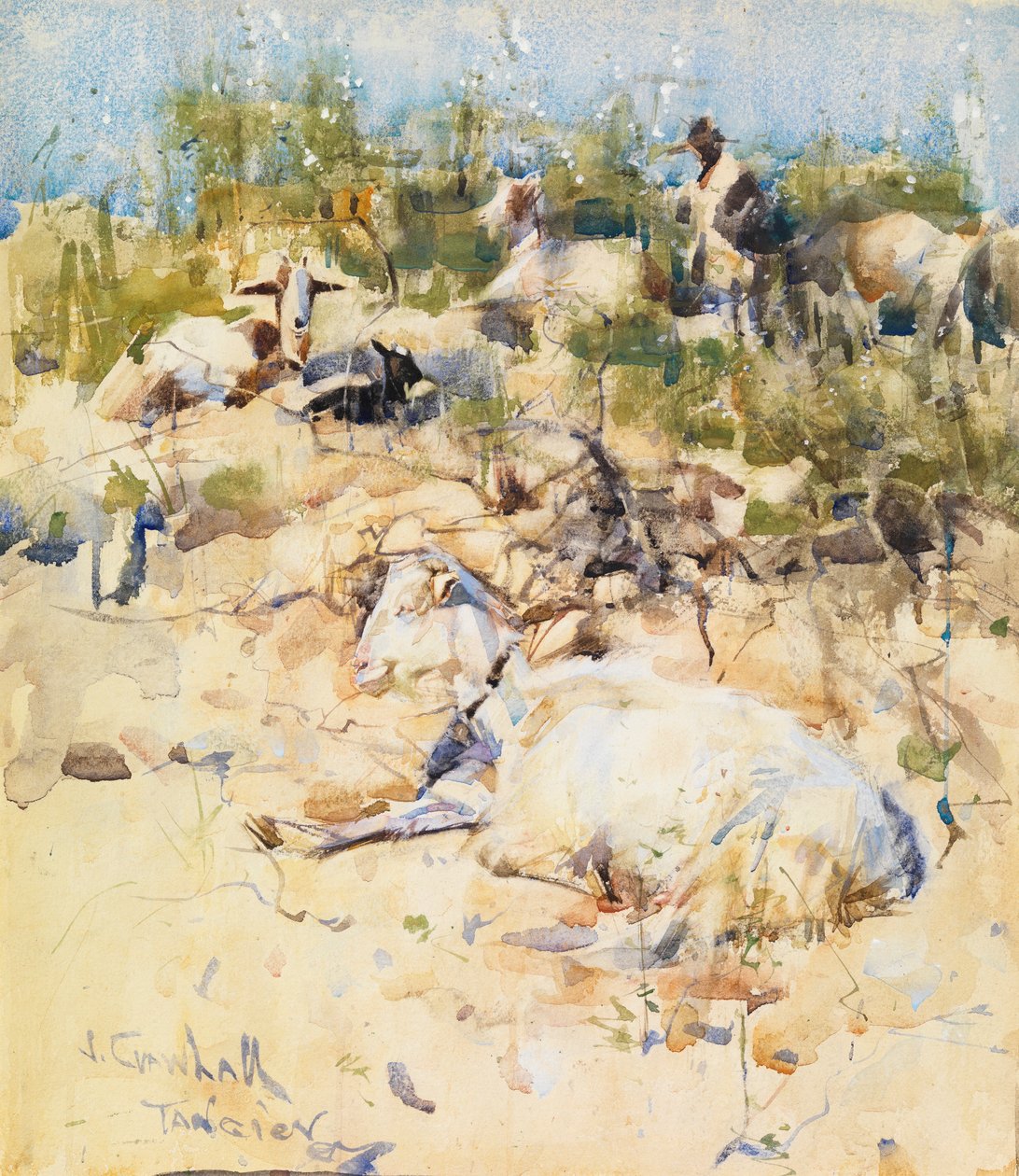 Geiter på en åsside, Tanger (akvarell med innslag av gouache på papir) av Joseph Crawhall