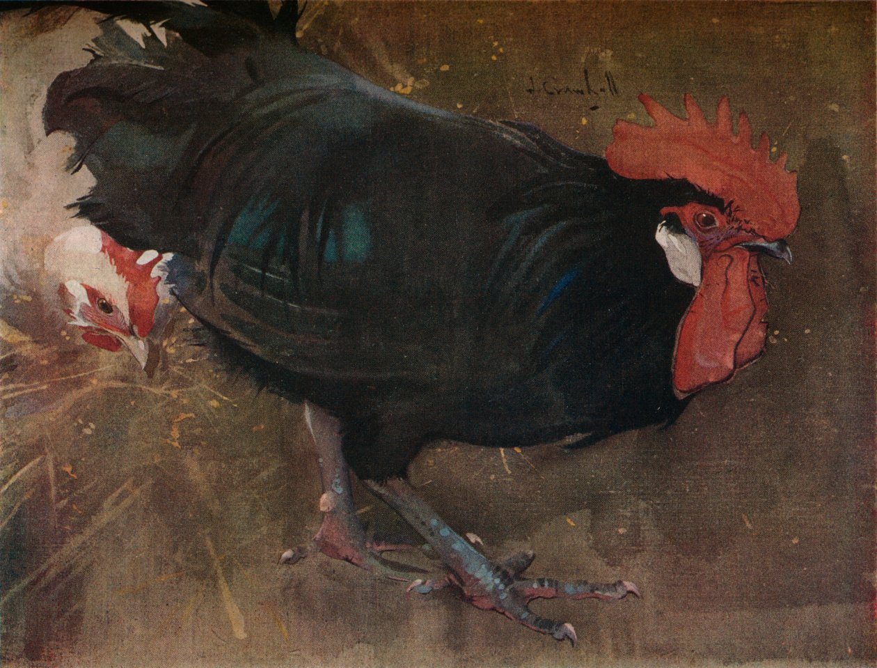 Den svarte hanen, c1894 av Joseph Crawhall