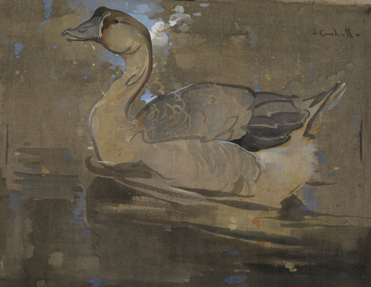 Den kinesiske gåsen (gouache på lin) av Joseph Crawhall