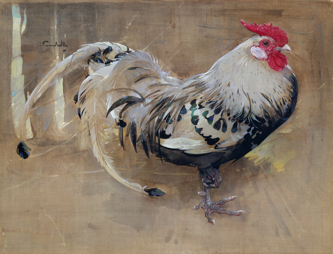 The Spangled Cock av Joseph Crawhall