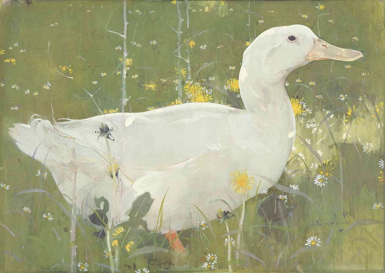 The White Drake (gouache på lerret) av Joseph Crawhall