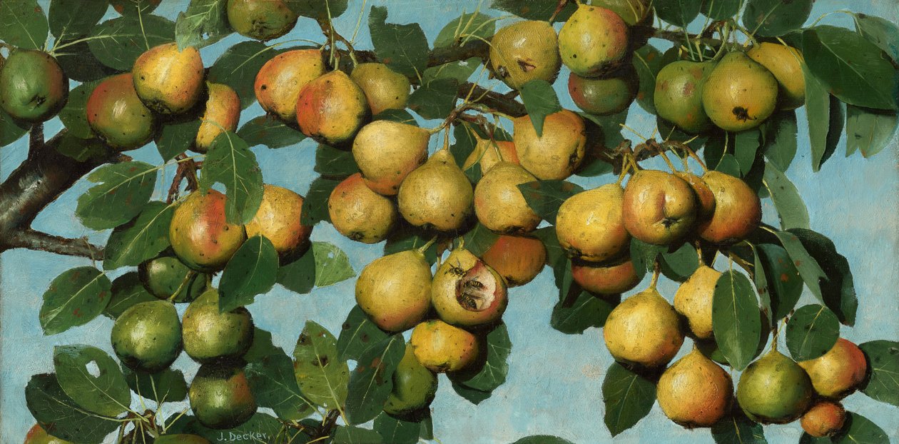 Modnende pærer, ca. 1884–1885 (olje på lerret) av Joseph Decker