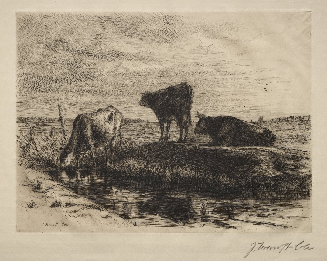 De tre kyrne av Joseph Foxcroft Cole