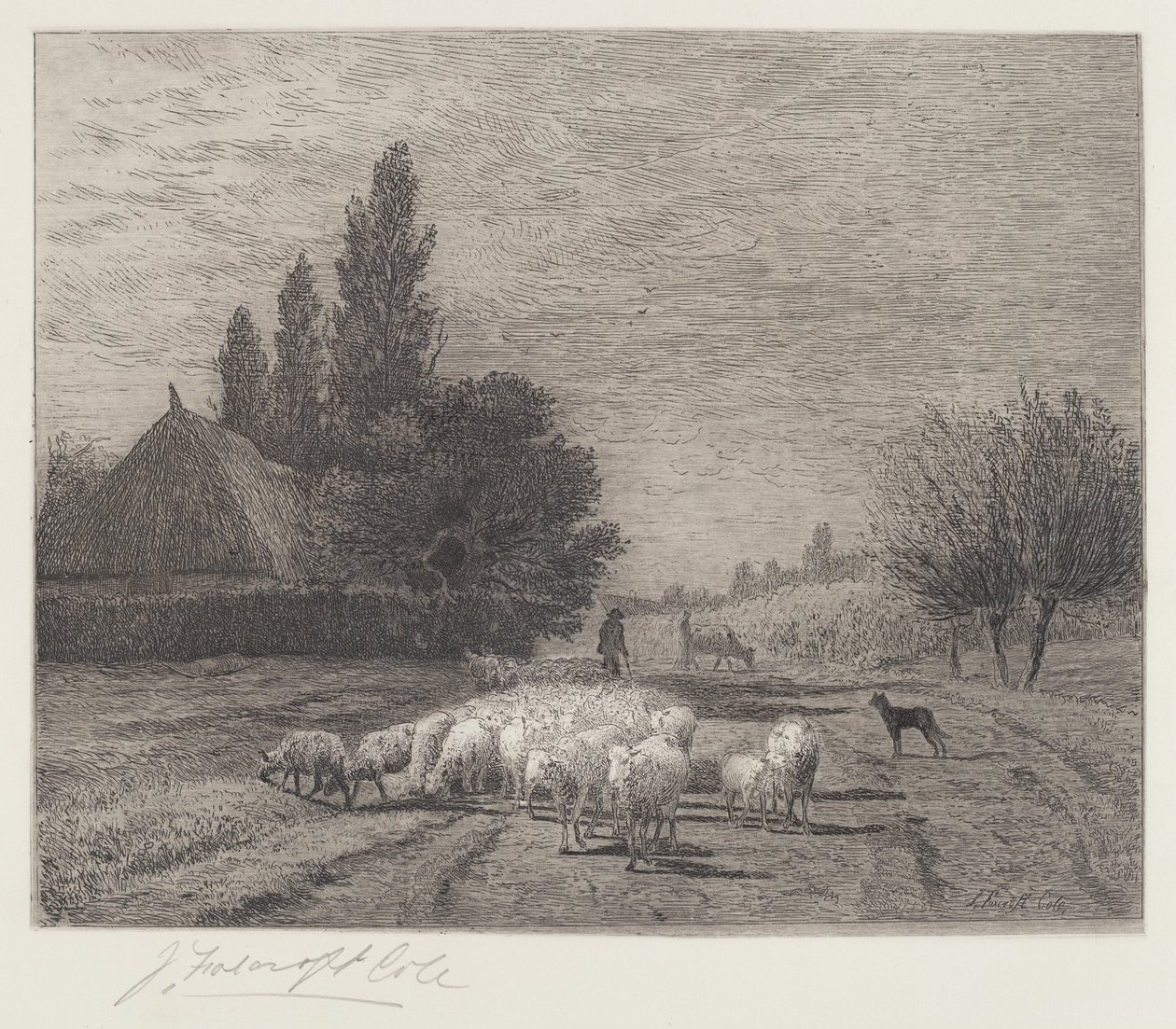 Landsbygate i Frankrike med en saueflokk av Joseph Foxcroft Cole