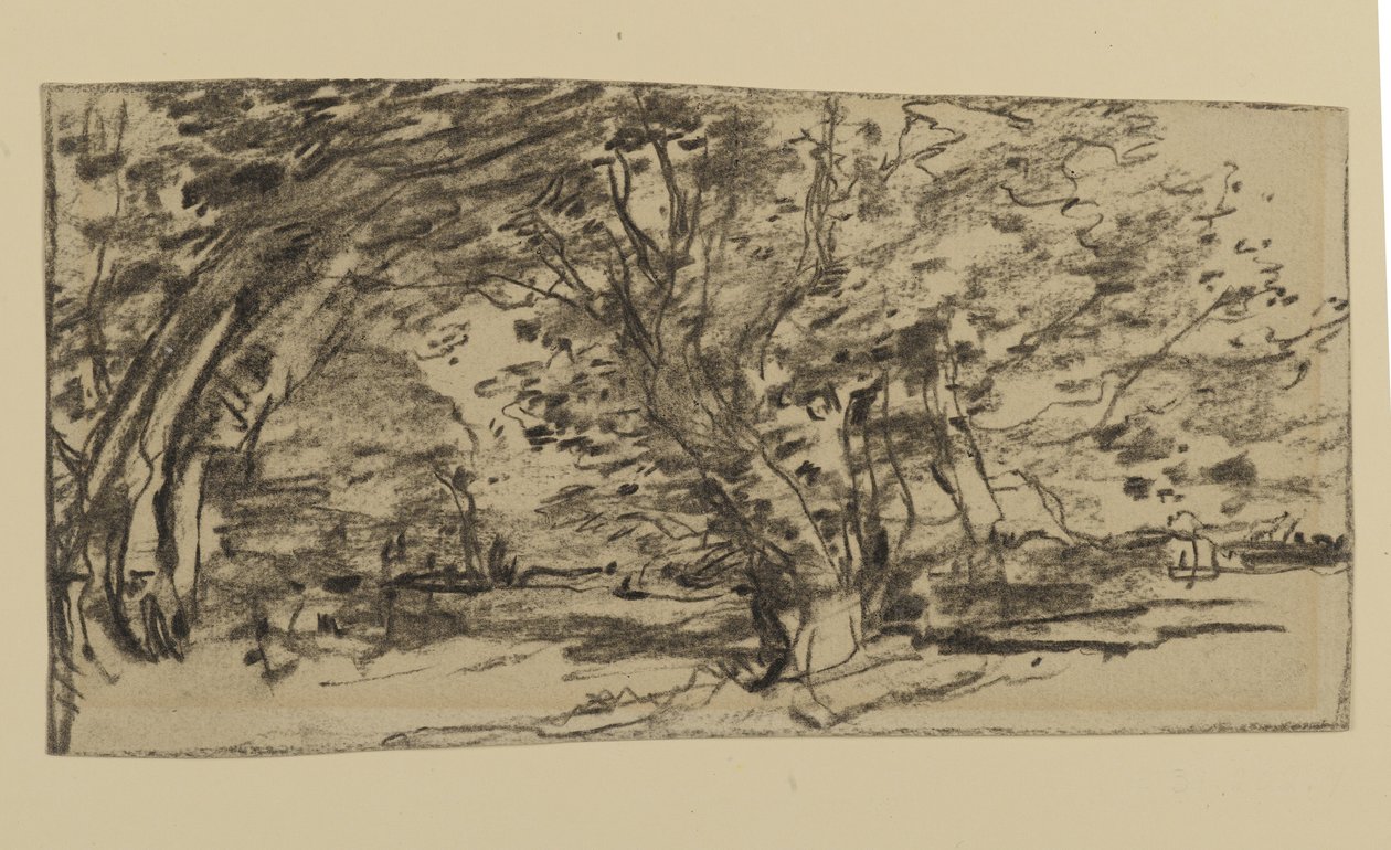 Study of Trees, 1870 (grafitt på papir) av Joseph Frank Currier